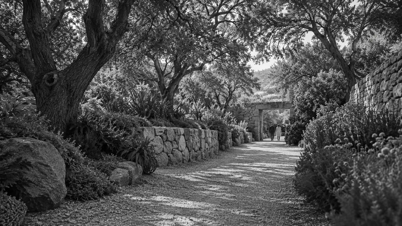 A quiet garden passage lined with trees and stone walls