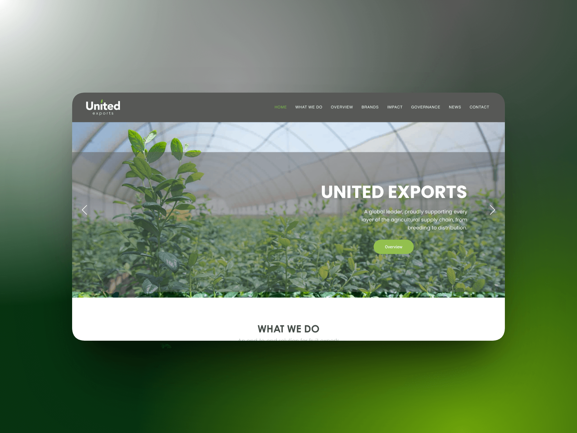 United Exports project imagery