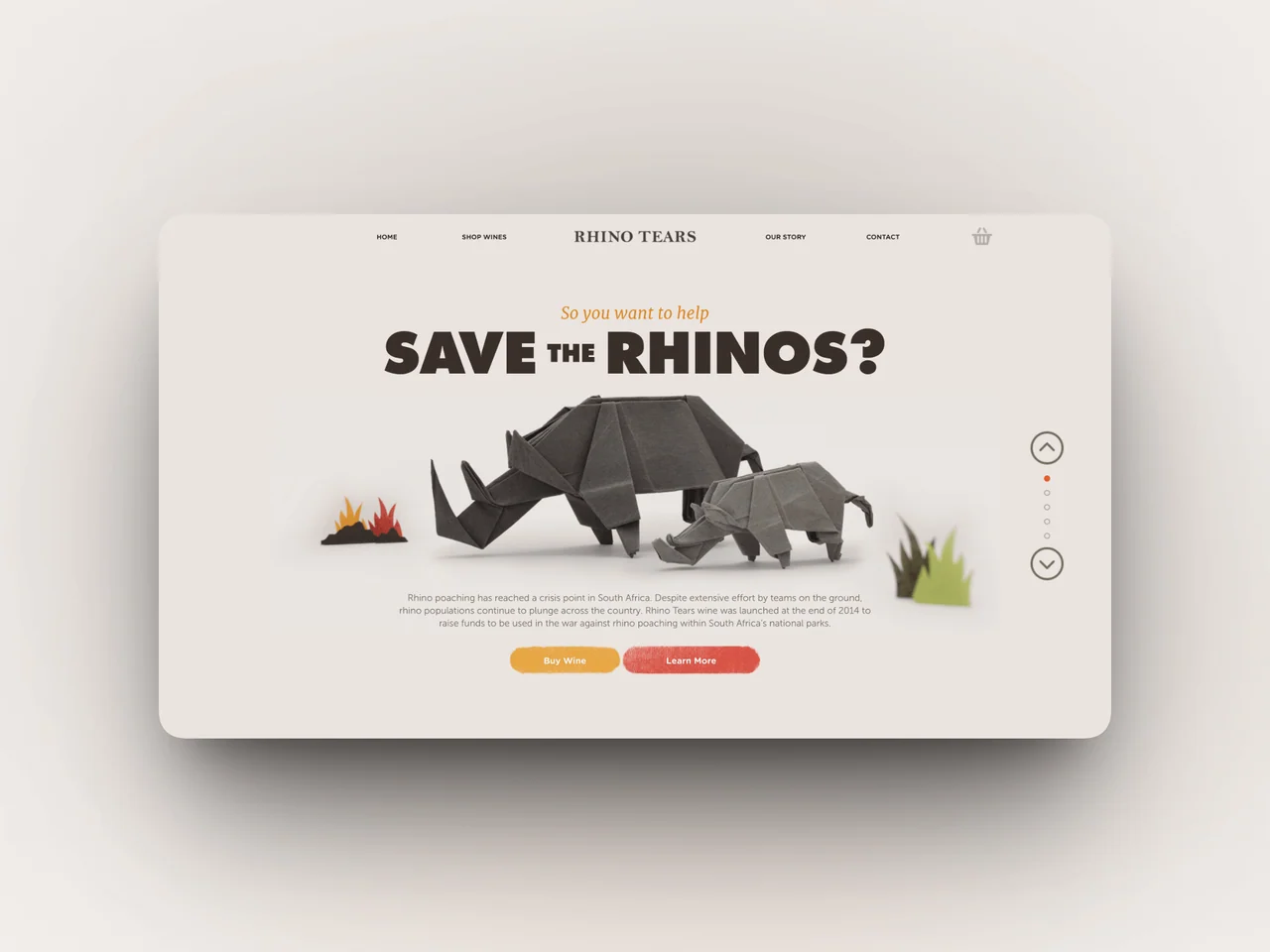 Rhino Tears project presentation
