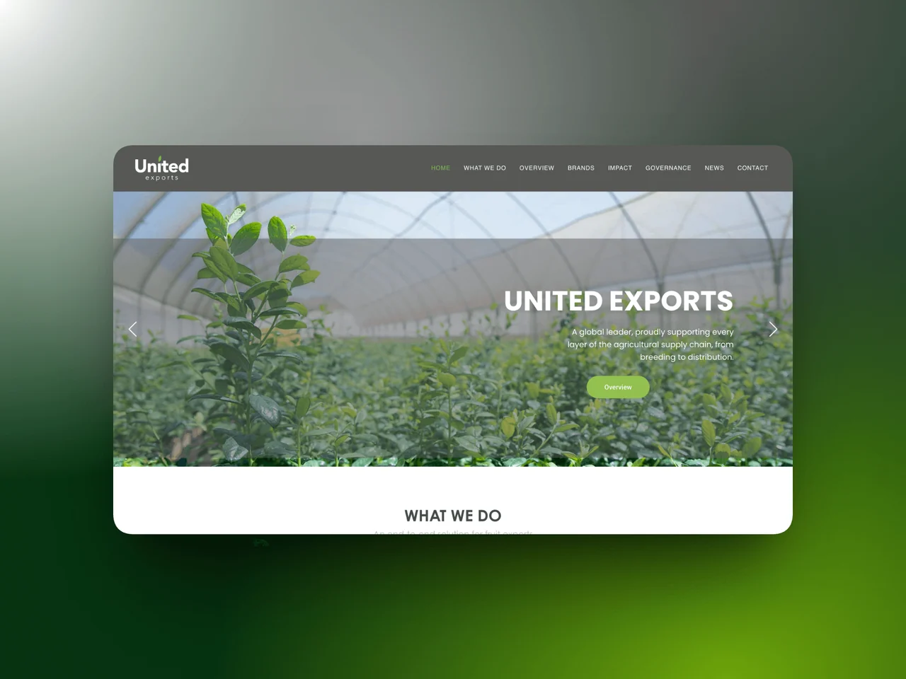 United Exports project presentation